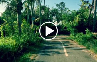 Surfing Cow Tracks Spot X in Indo by Ylia Callan