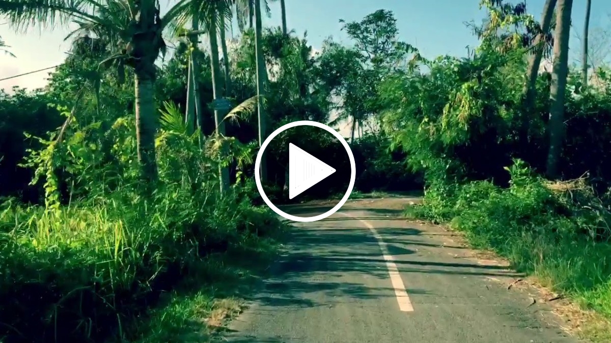 Surfing Cow Tracks Spot X in Indo by Ylia Callan