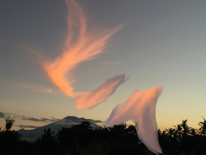 Ylia Callan Guitar in the Clouds