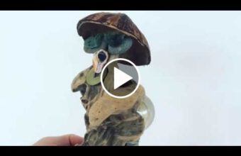 Half in the ZONE A Fingerstyle Tune with Fingerpicking Guitarist Techniques by Ylia Callan