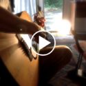 Organic Political Bonanza Song : Finger Style 12 String Open Tuning by Ylia Callan Guitar