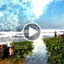 Heavy 8 Foot Swell Keramas in Bali April 19th 2019 with Original Fingerstyle Guitar by Ylia Callan