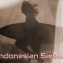 Indonesian Swells - 12-String Acoustic Guitar Instrumental Album by Guitarist Ylia Callan