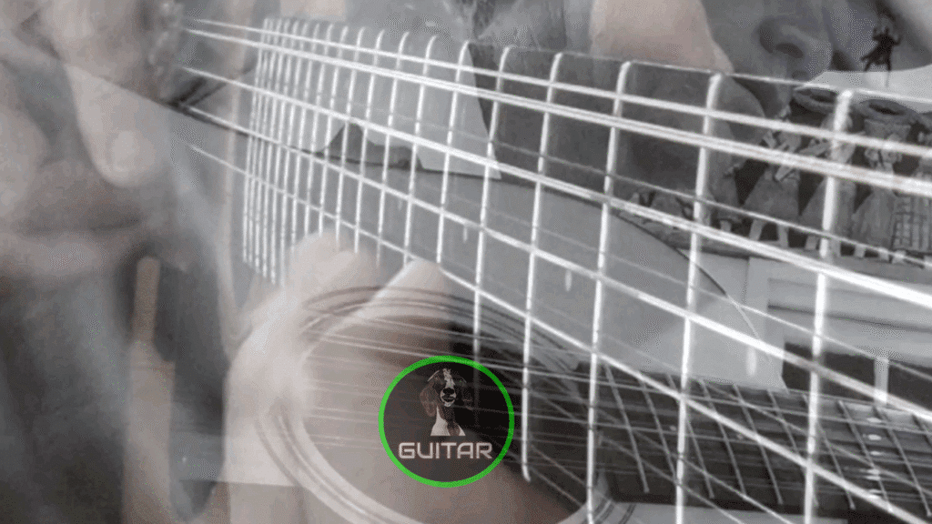 12 String Guitar Solo in E Minor Web Thumbnail