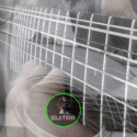 12 String Guitar Solo in E Minor Web Thumbnail